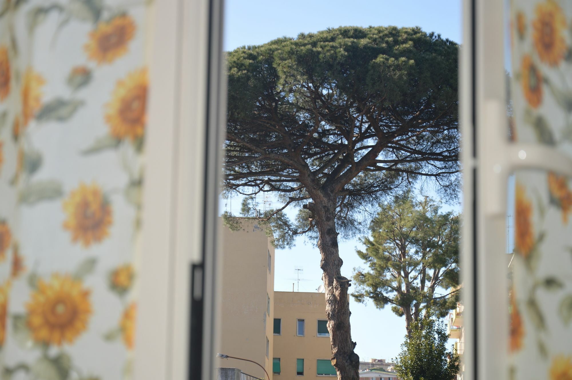 I Colori Di Salvator Rosa Bed & Breakfast Naples Exterior photo